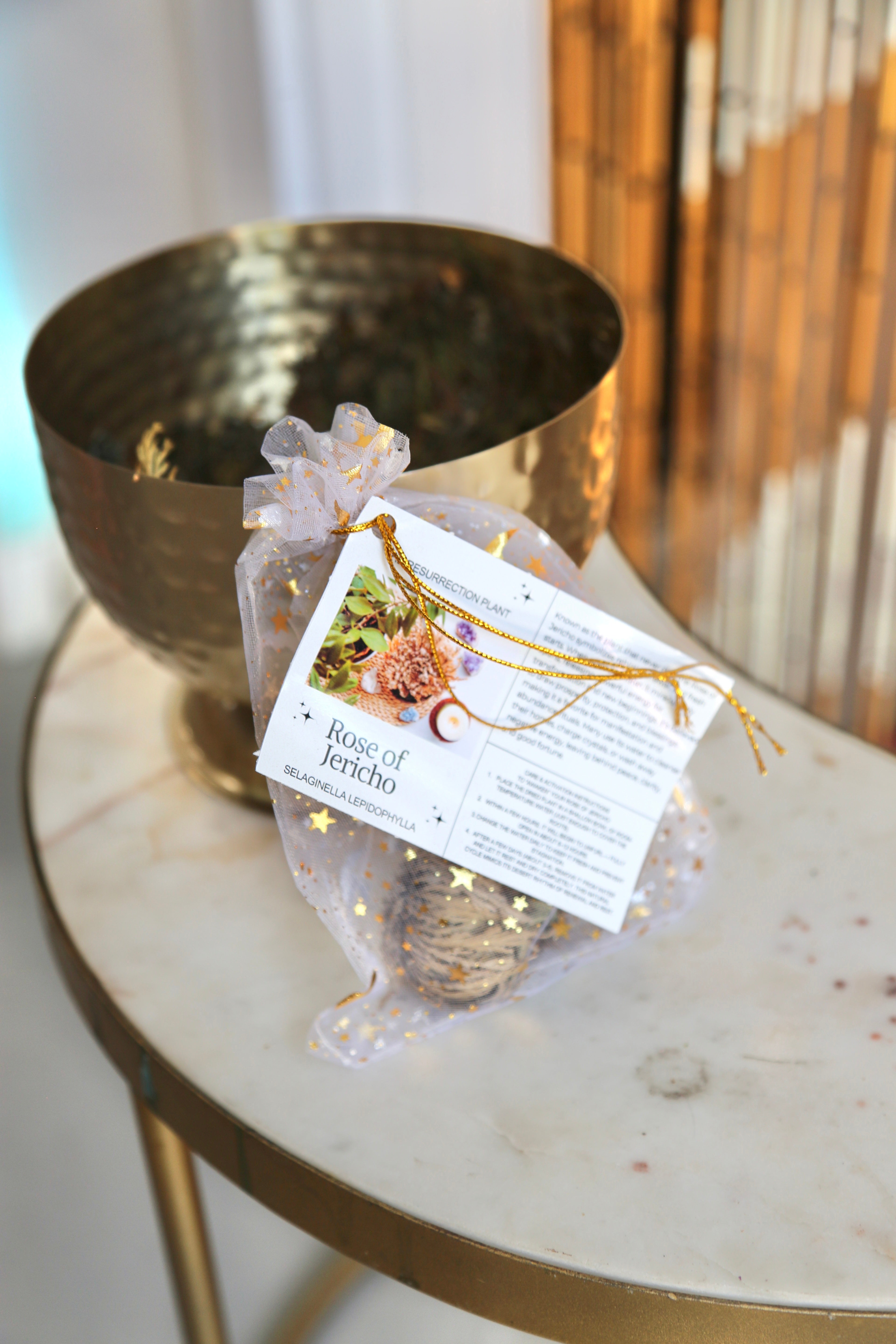 Rose of Jericho